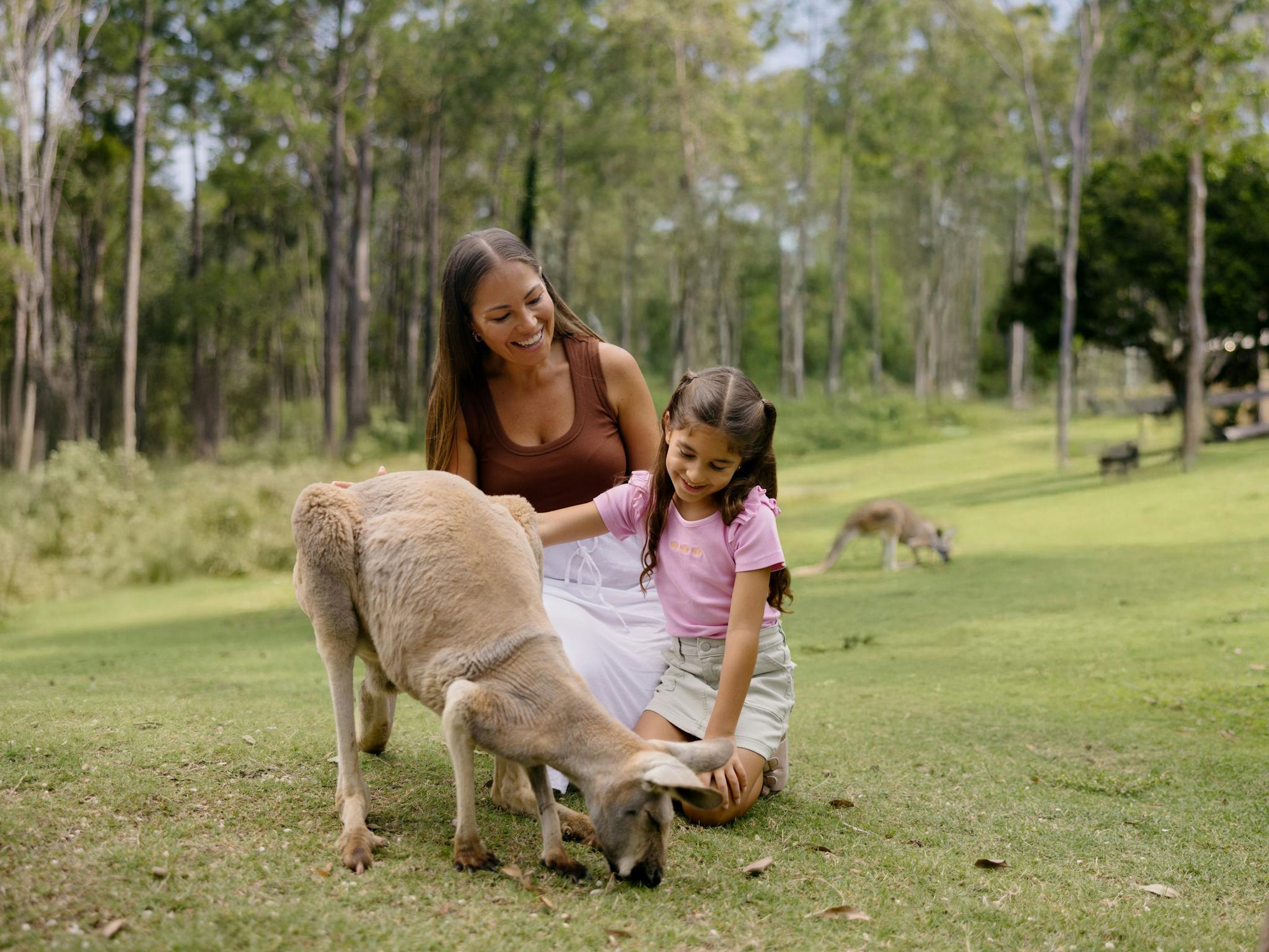 Kangaroo