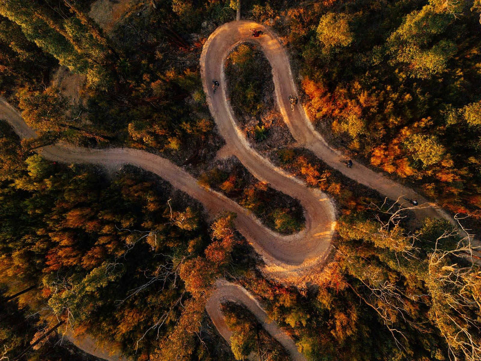 숲 속 산악자전거 트레일의 상공 전망