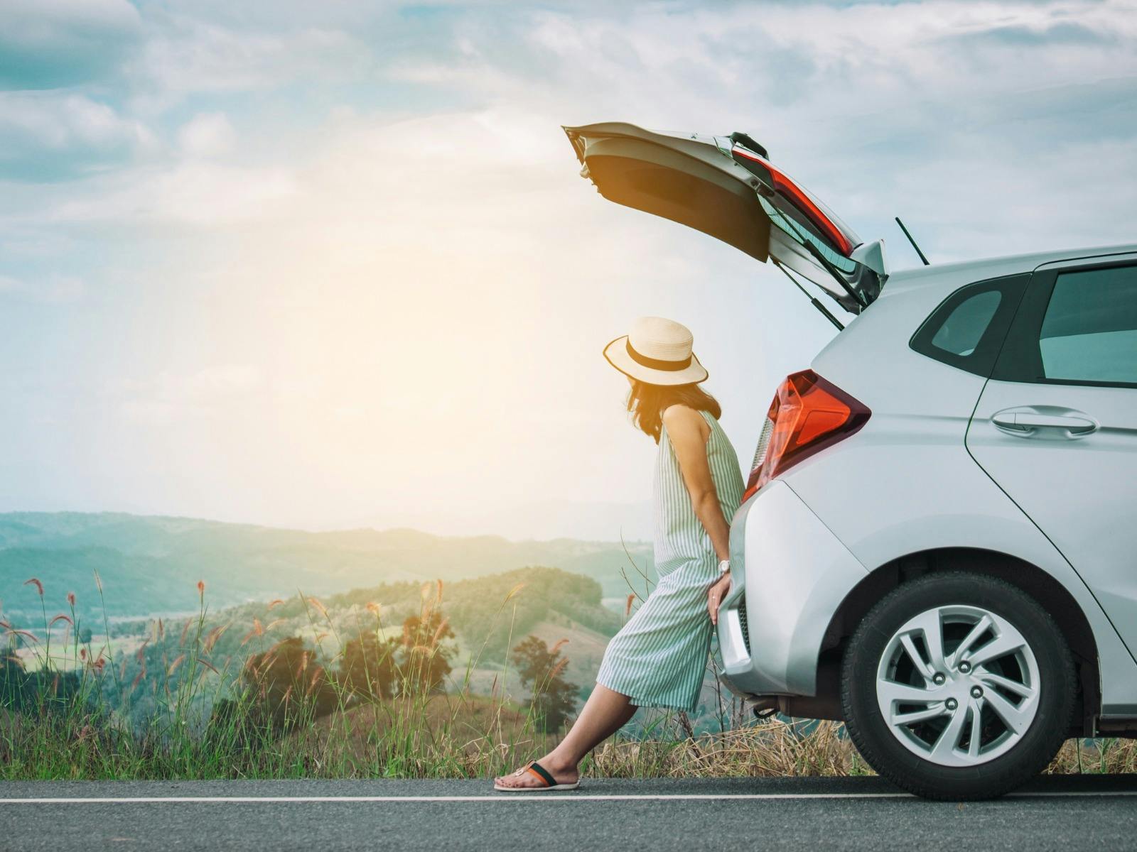Person and Car looking at the View