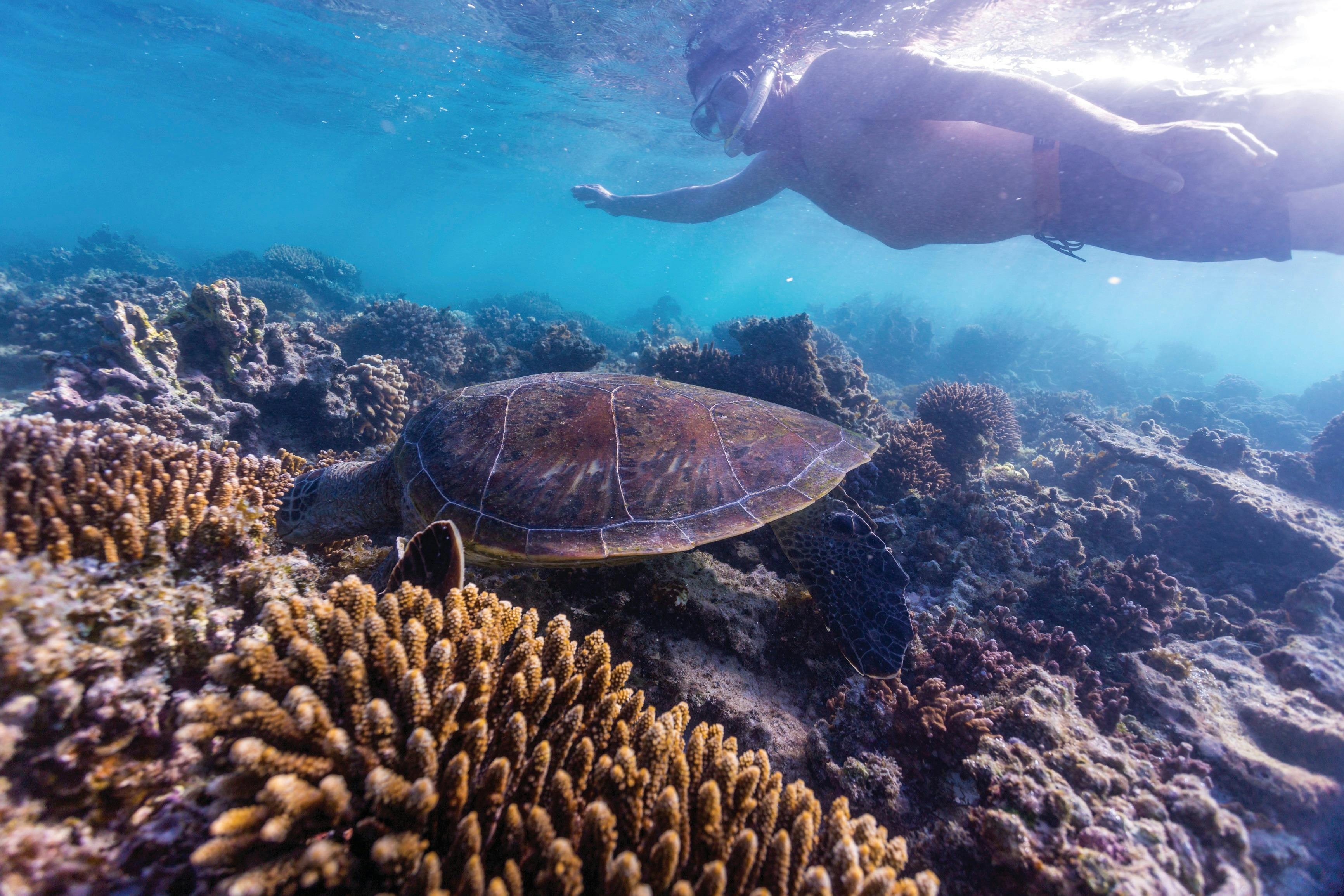 Quobba and Gnaraloo Four-Wheel-Drive Adventure, Ningaloo, Western Australia