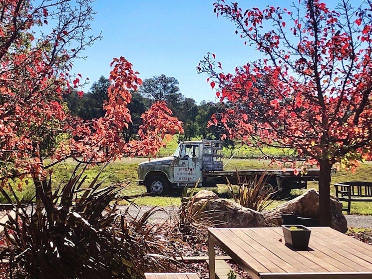 Autumn at Tallagandra Hill