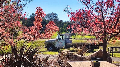 Autumn at Tallagandra Hill