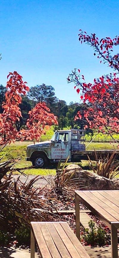 Autumn at Tallagandra Hill