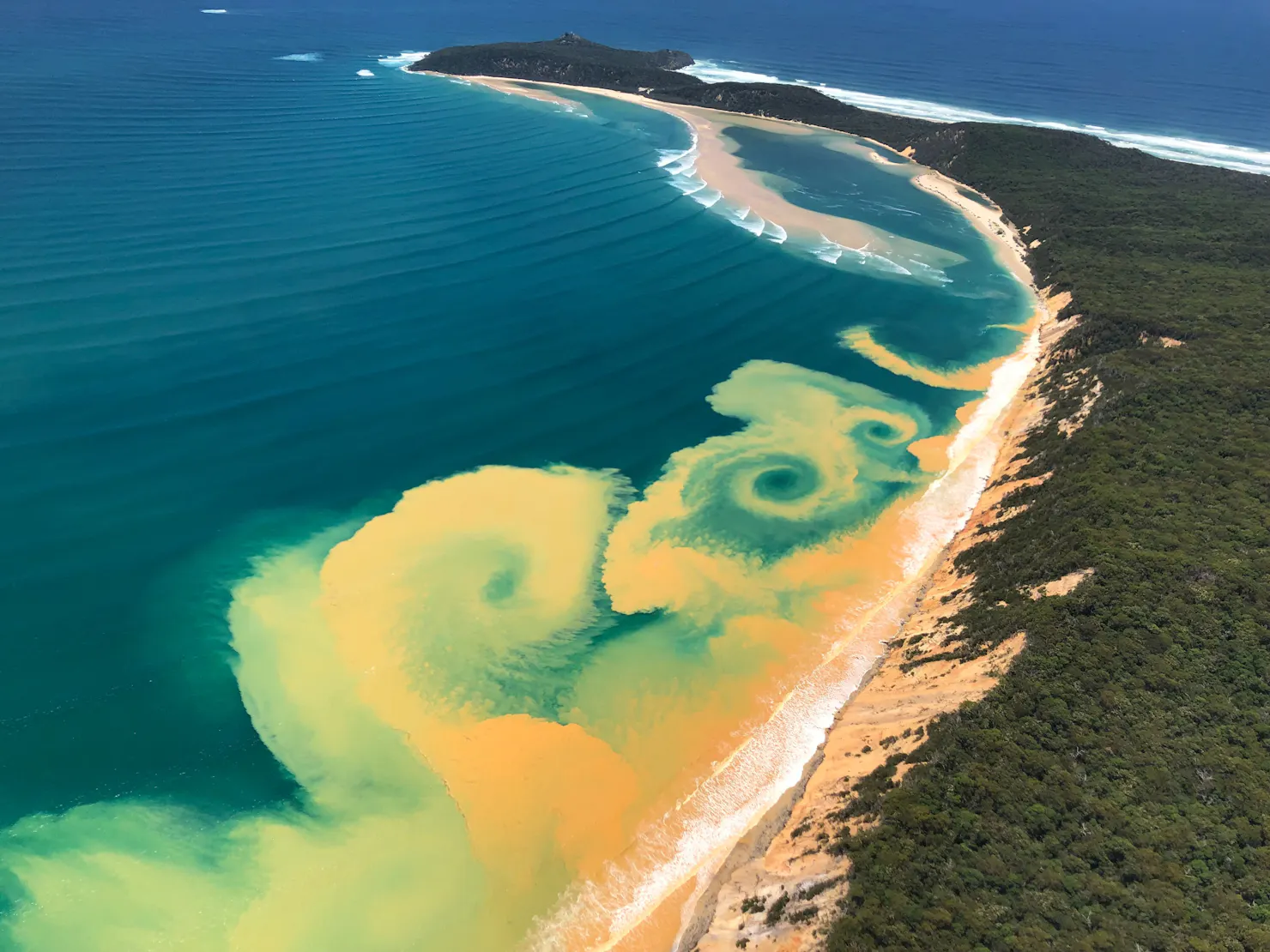 You may be luck to witness magic in the ocean from the air! Colour sands + currents attract magic!!!