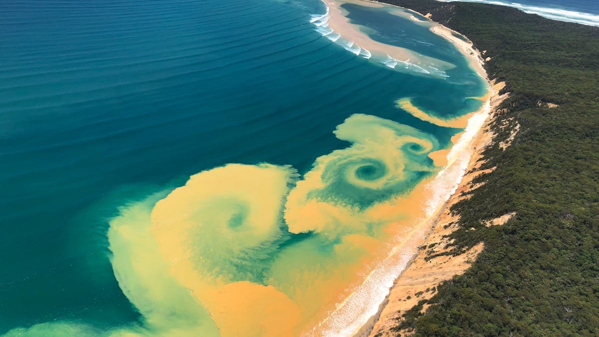 You may be luck to witness magic in the ocean from the air! Colour sands + currents attract magic!!!