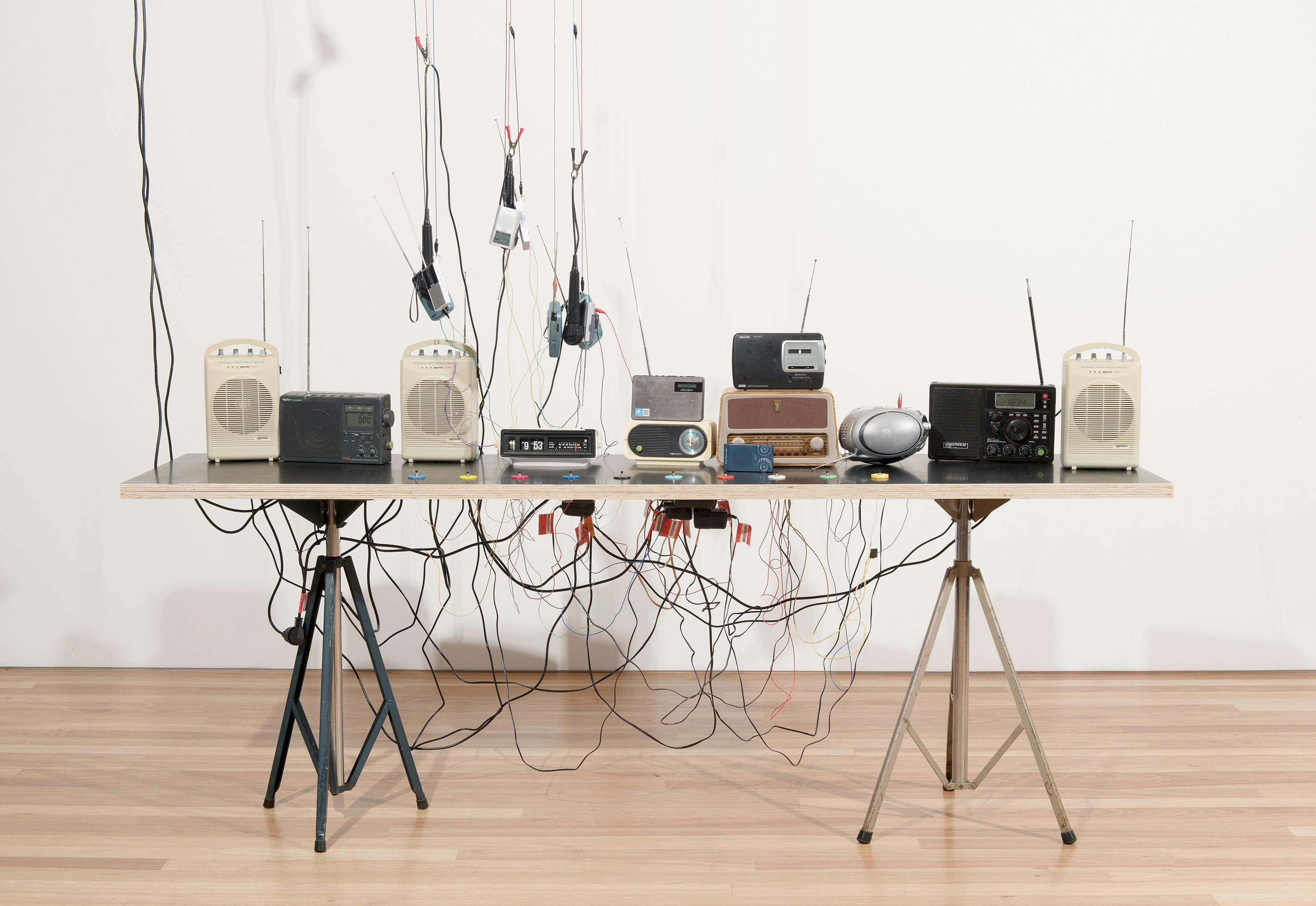 Nicci Haynes at CCAS Lakeside 2022