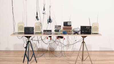 Nicci Haynes at CCAS Lakeside 2022