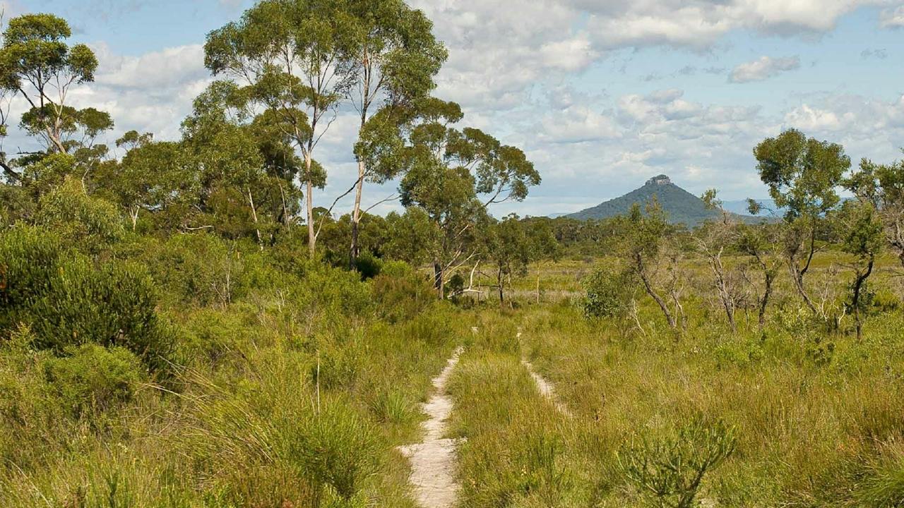 Florence Head Trail and Lookout