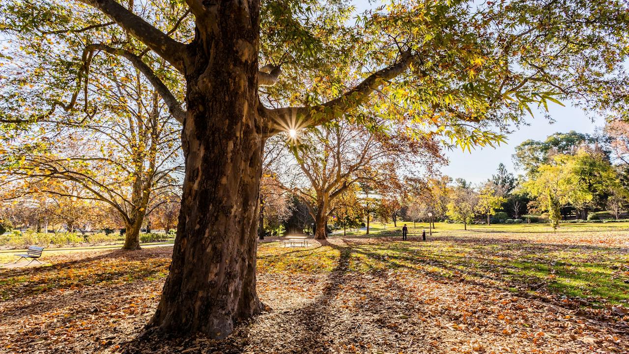 Wagga Wagga Botanic Gardens
