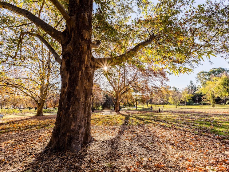 Wagga Wagga Botanic Gardens