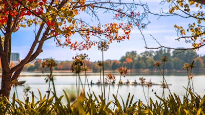Lake burley griffin has lots of activity including this rowing boat gliding past the NGA in Canberra