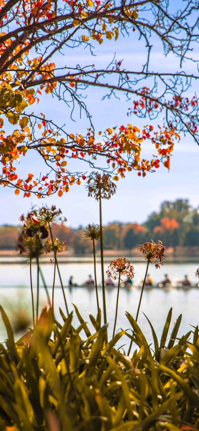 Lake burley griffin has lots of activity including this rowing boat gliding past the NGA in Canberra