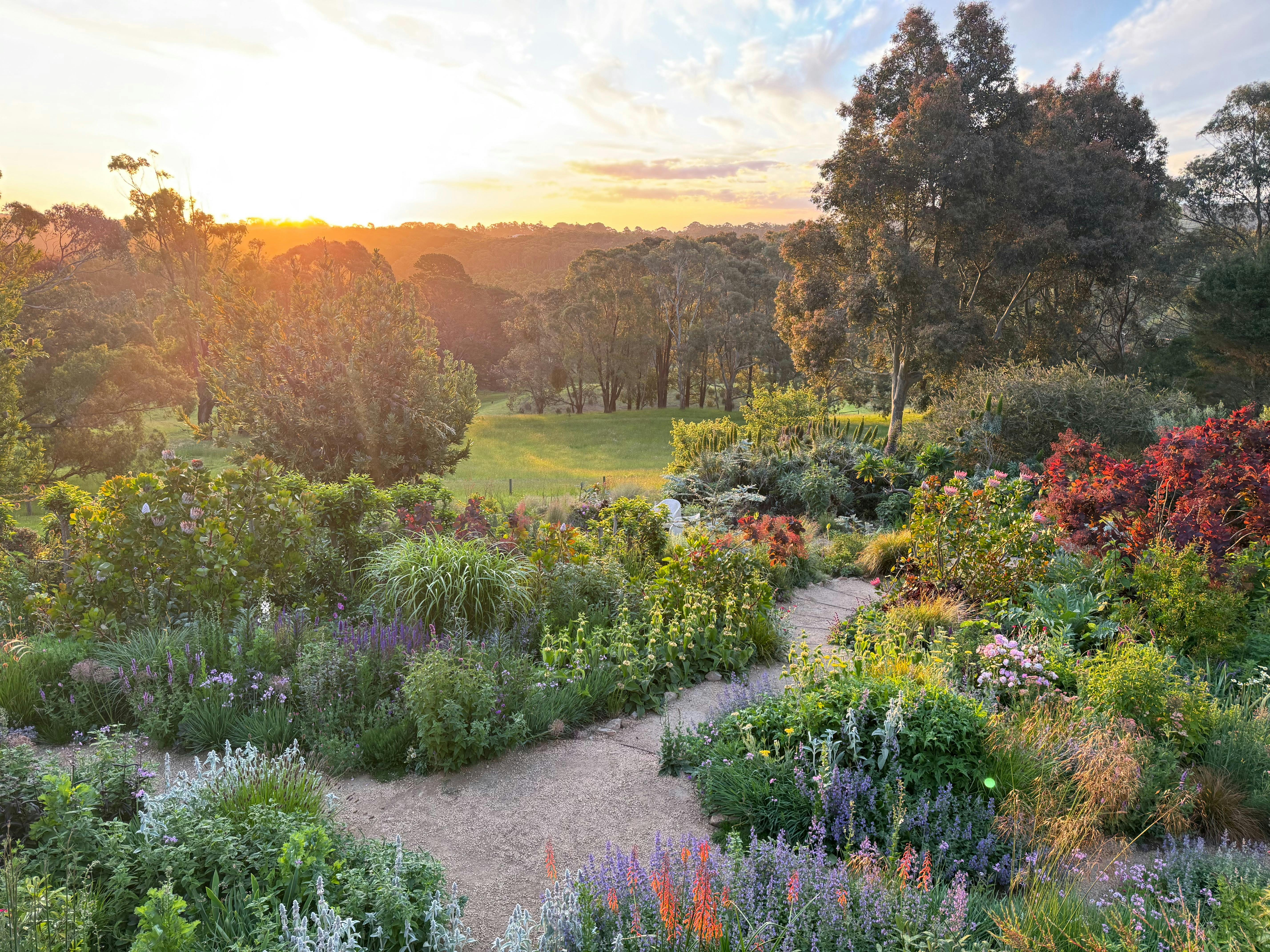 Open Gardens Victoria - The Winter Garden, view across the garden