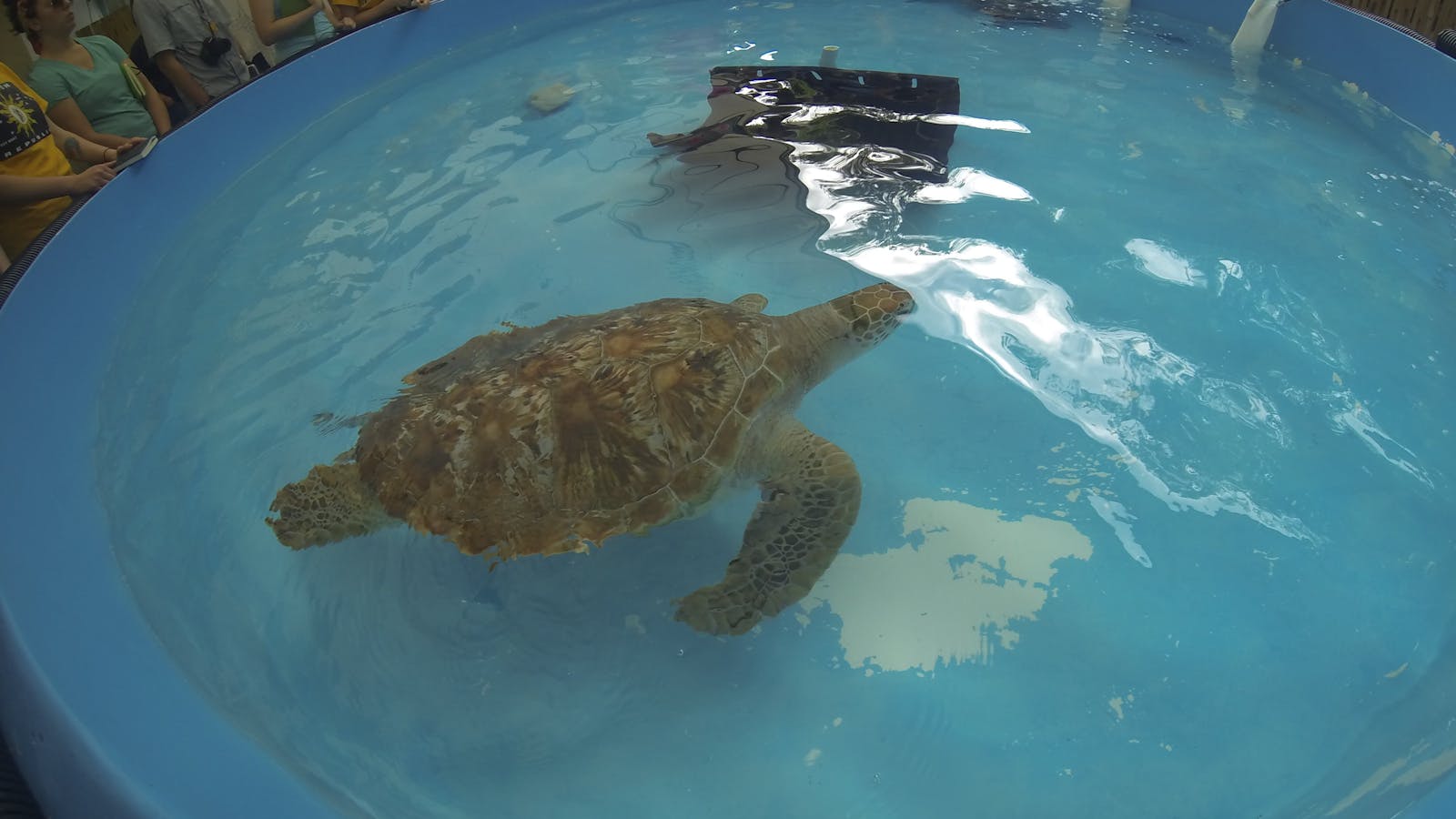 Great Barrier Reef student excursions