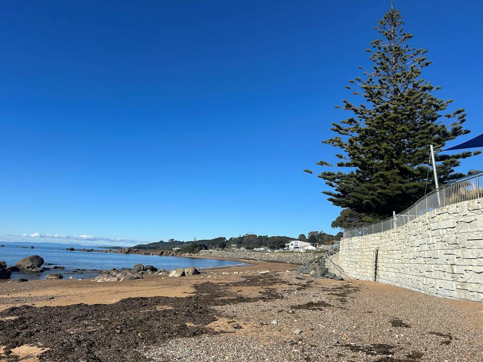 Penguin  Beach Foreshore photo