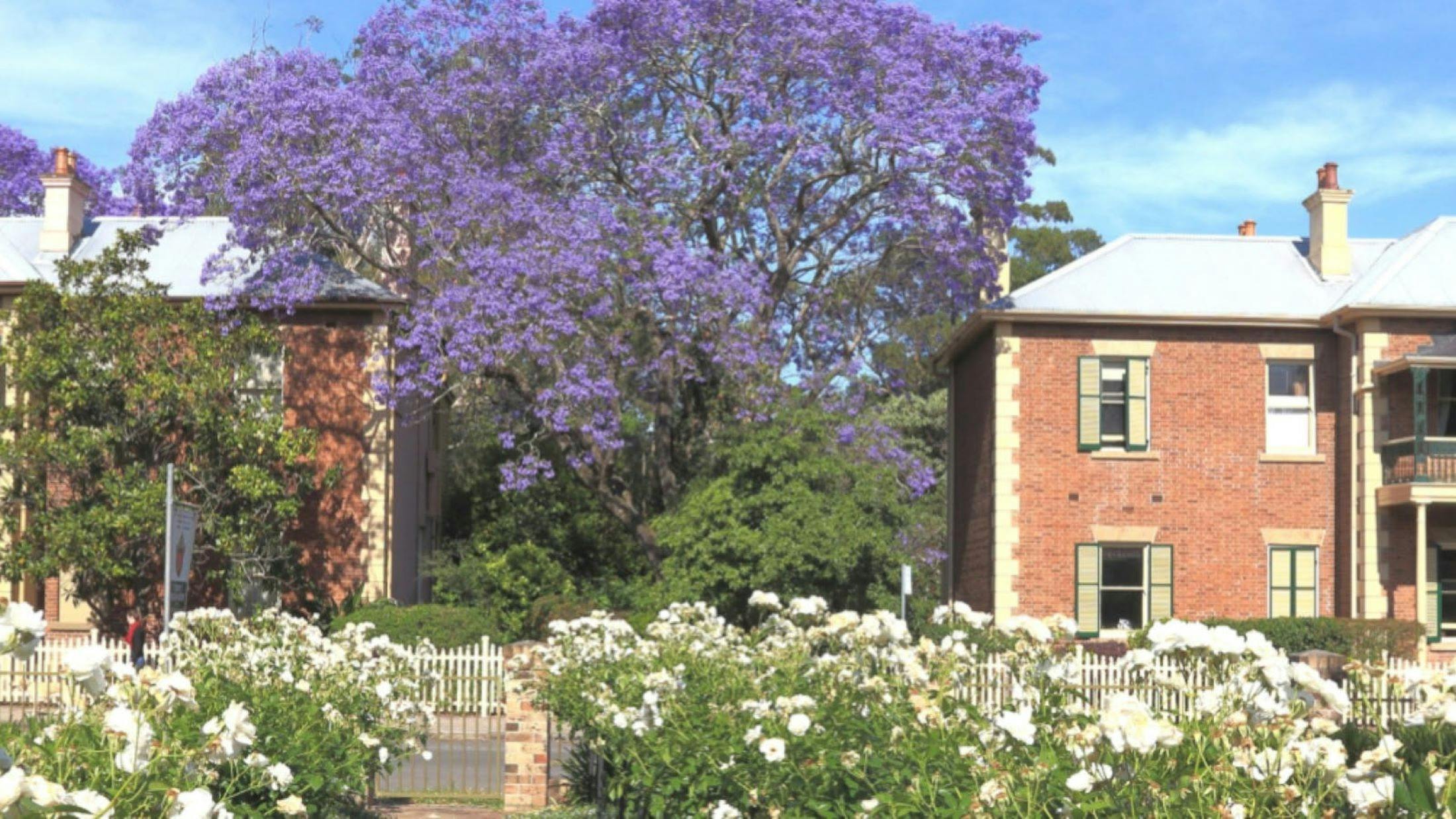 Heritage buildings and rose Gardens