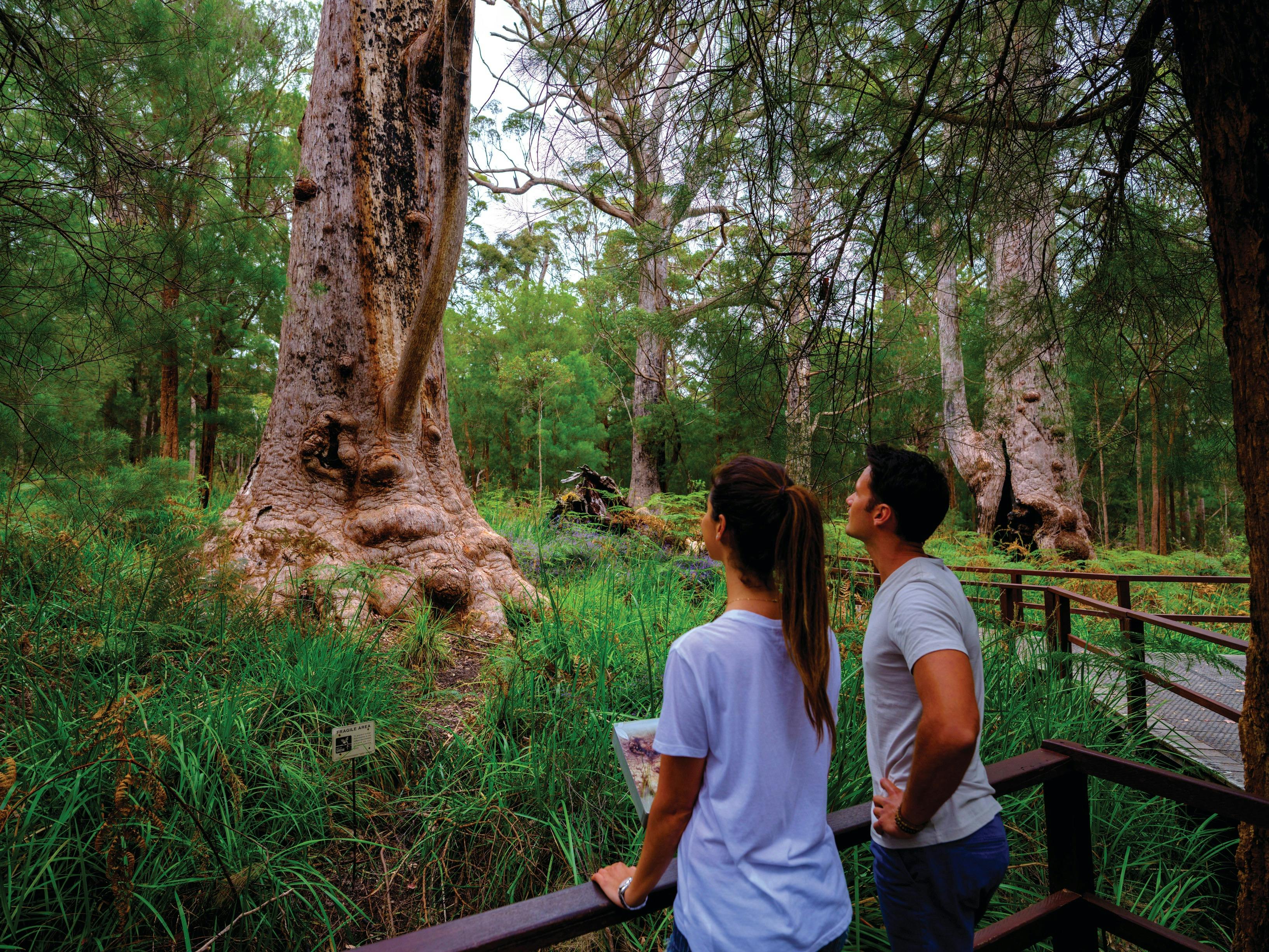 Aussie Perth Tours, Perth, Western Australia