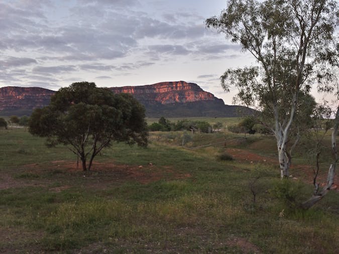 Flinders Ranges and Outback Eight Day Tour