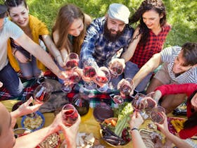 Group Wine Tours