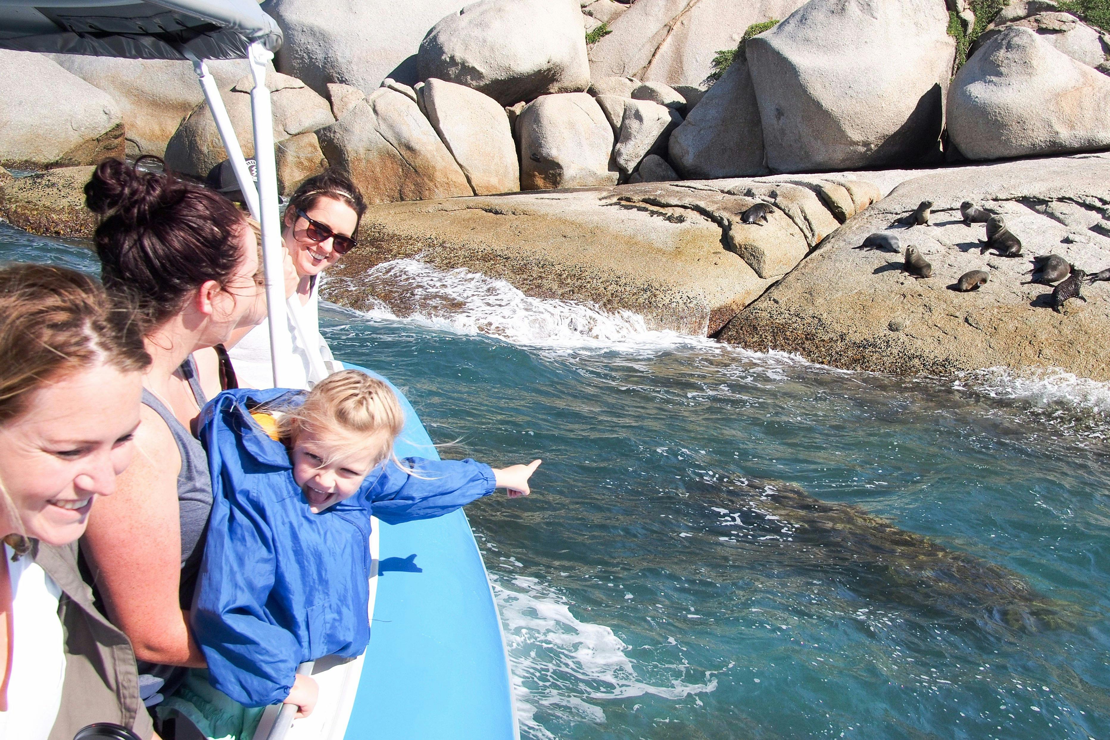 Seals and Sea Lions Victor Harbor