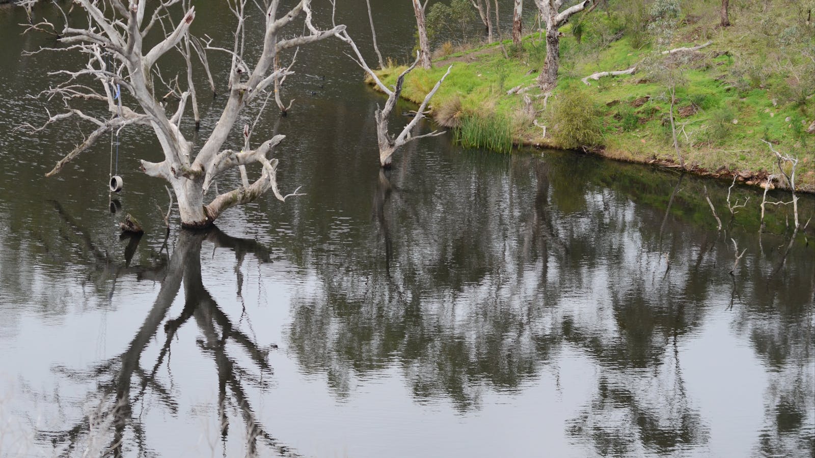 Sturt Gorge Recreation Park
