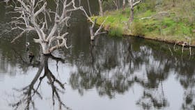 Sturt Gorge Recreation Park