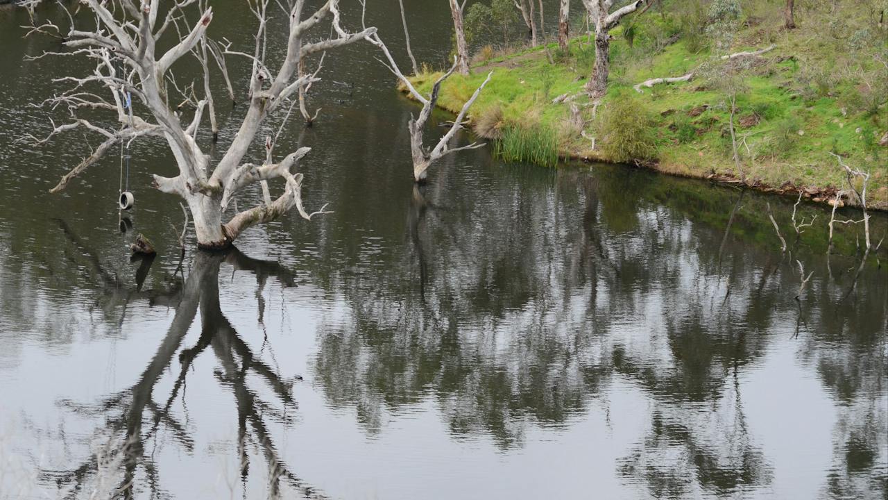 Sturt Gorge Recreation Park