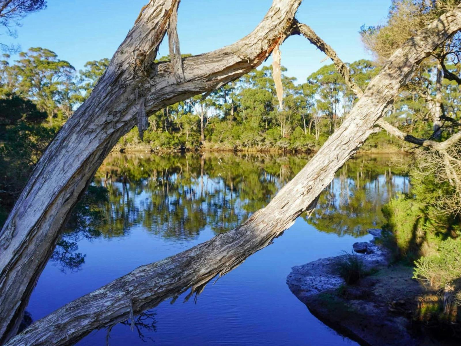 Inglis River Walkway
