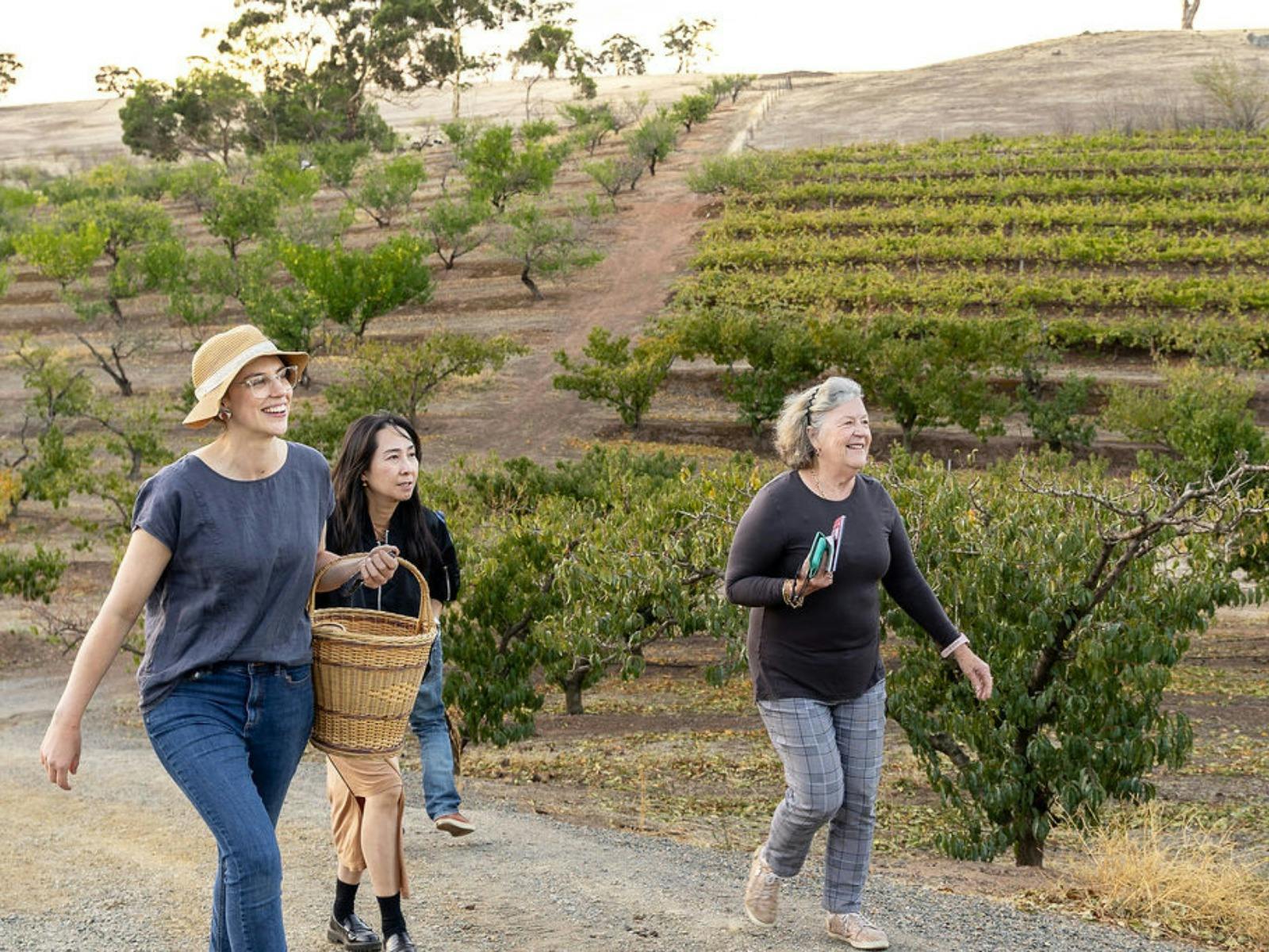 Gully Gardens Barossa - Orchard Tour and Taste