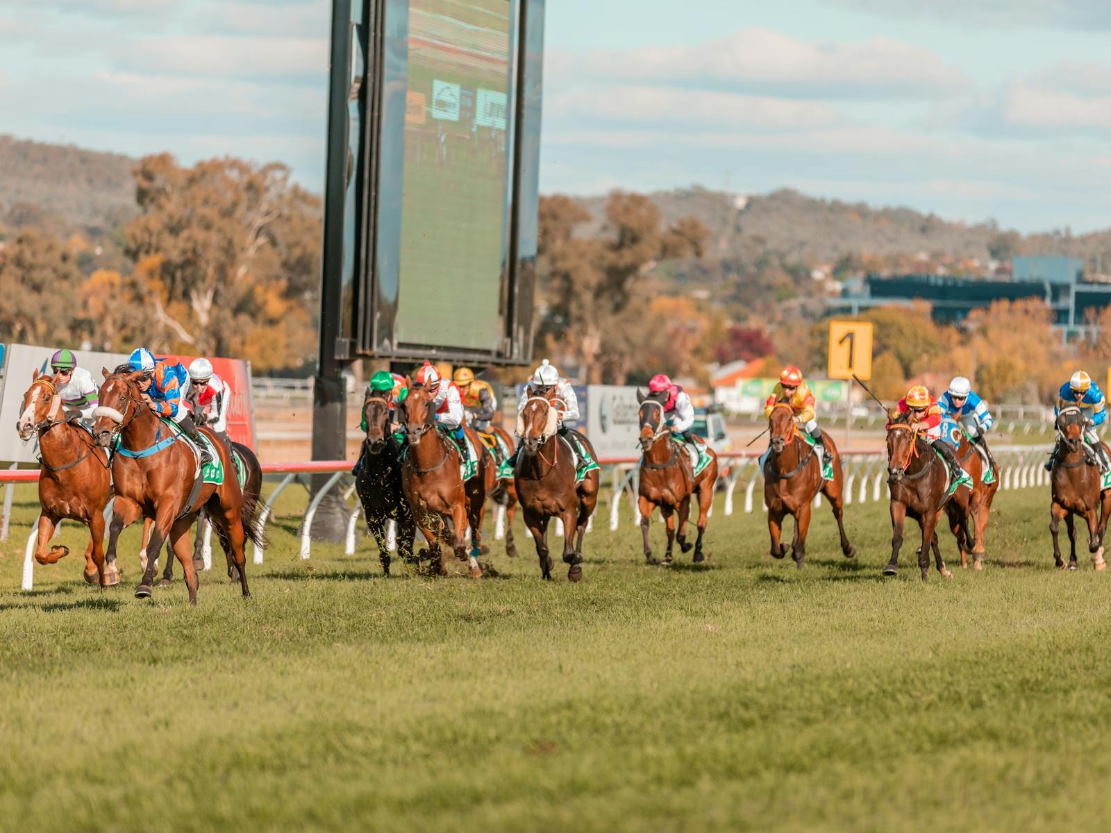 Image for Kooringal Stud Prelude Day