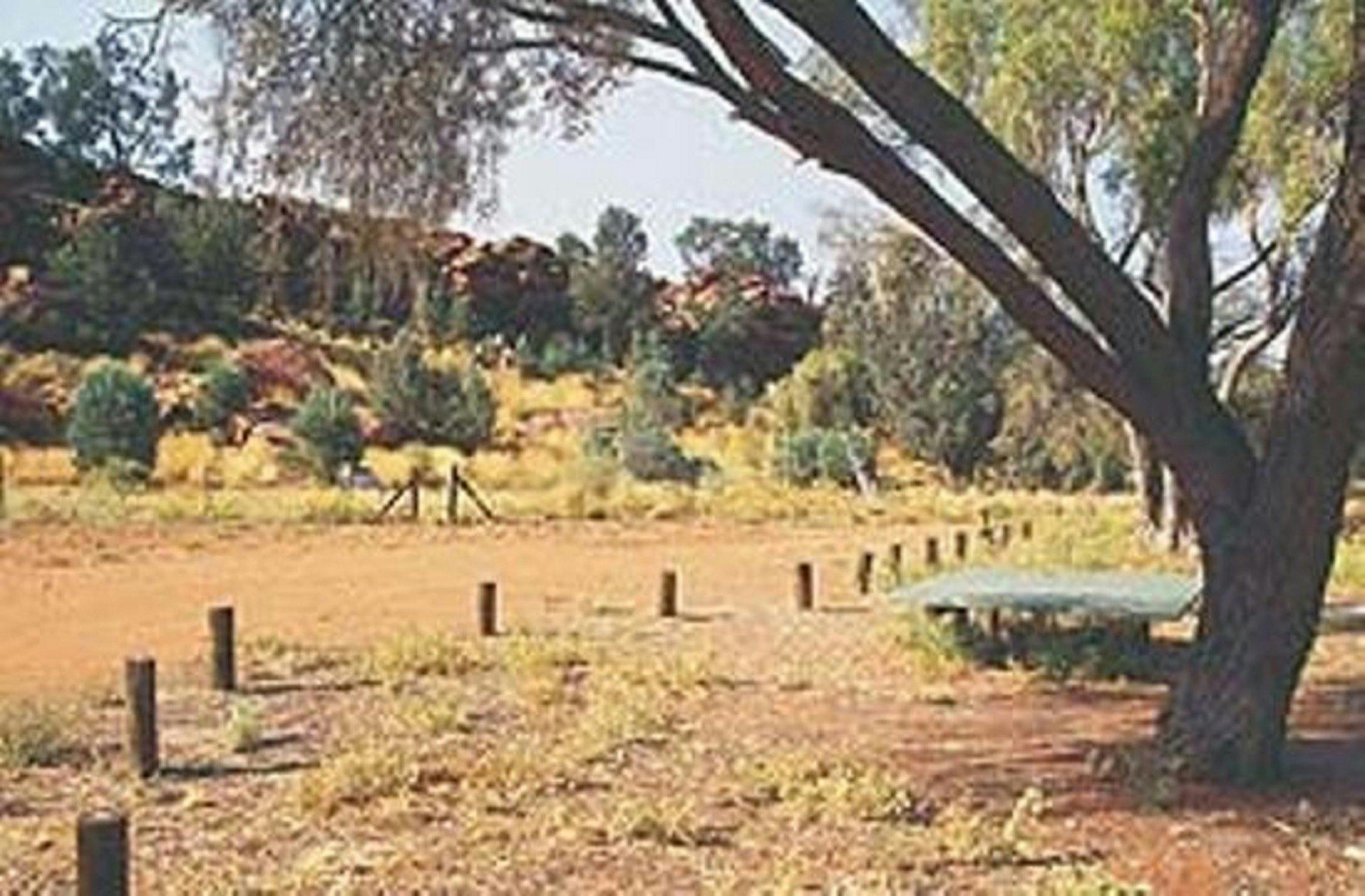 Native Gap Conservation Reserve