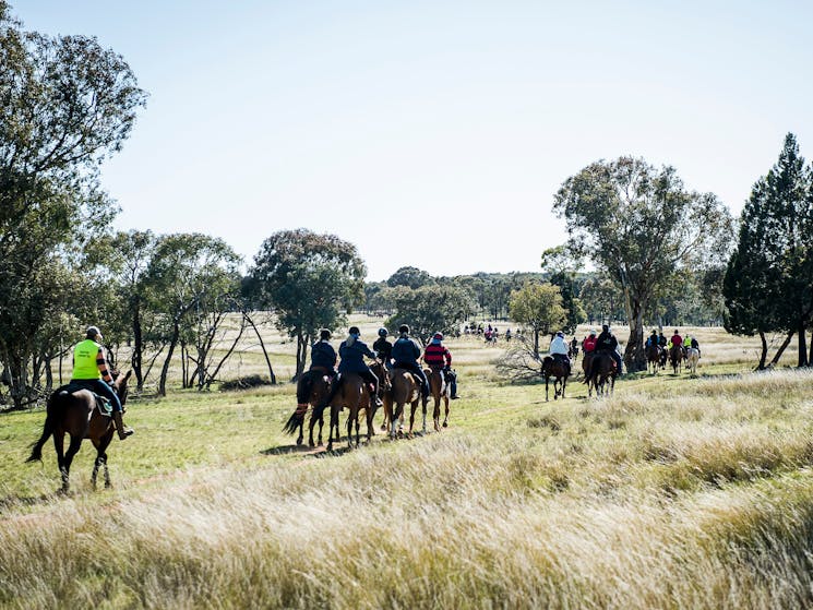 Weddin Mountain Muster