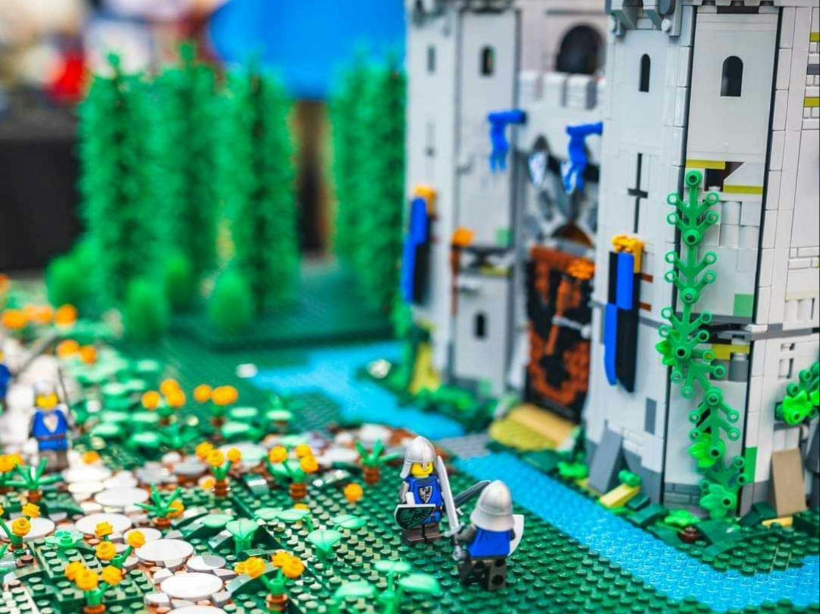 Castle - Forster Tuncurry LEGO Brick Show