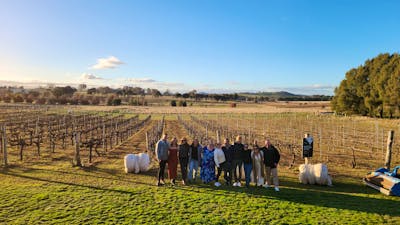 a group at vintners daughter-min-min