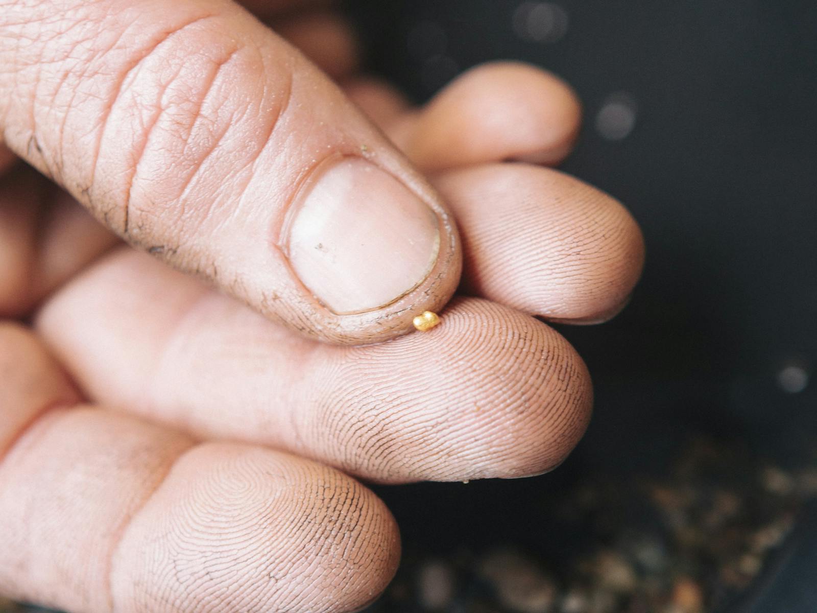 A single speck of gold is held by a dirty prospectors hand