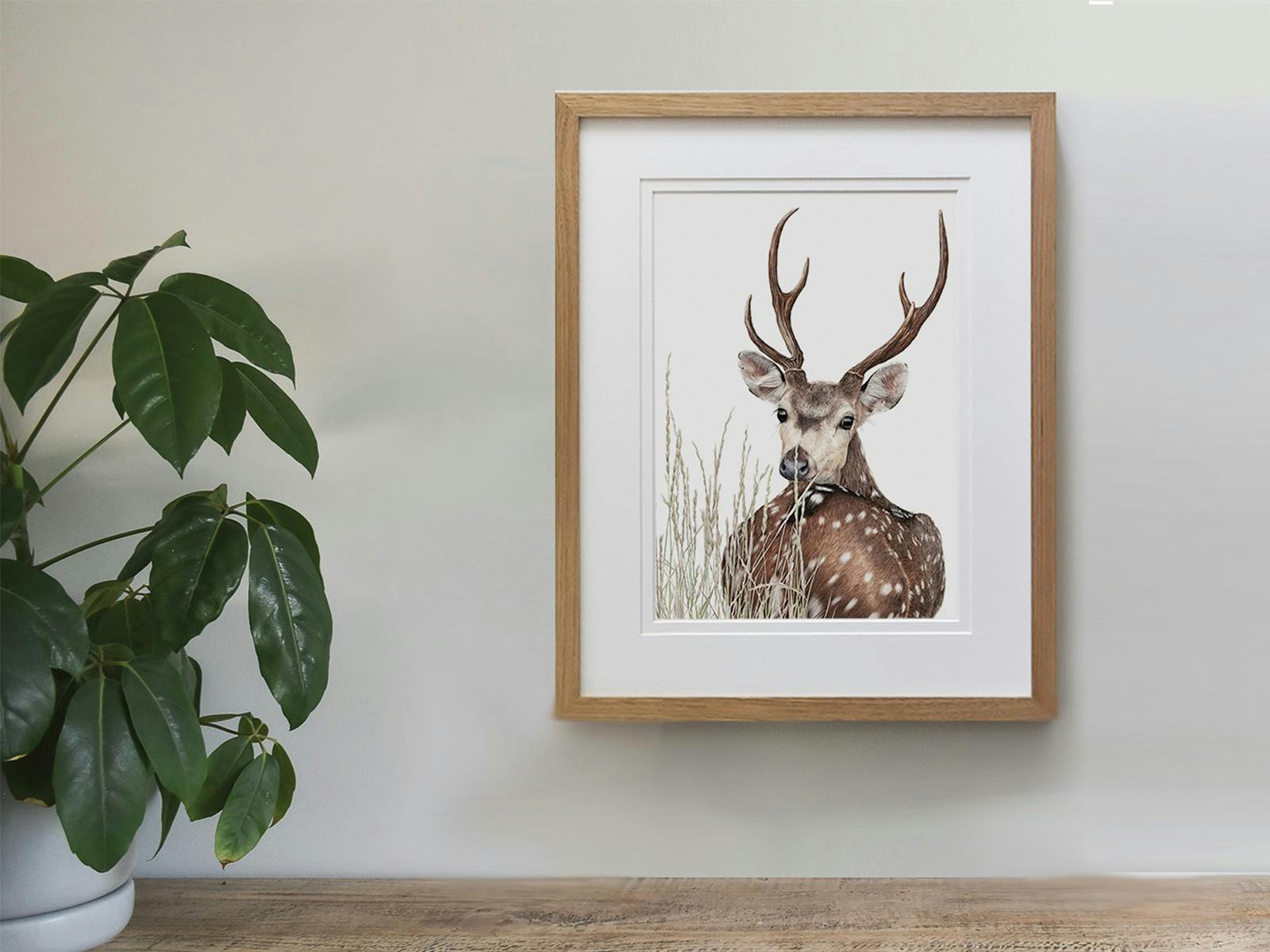 Framed artwork of a chital stag on the wall, above a wooden table with a potted plant