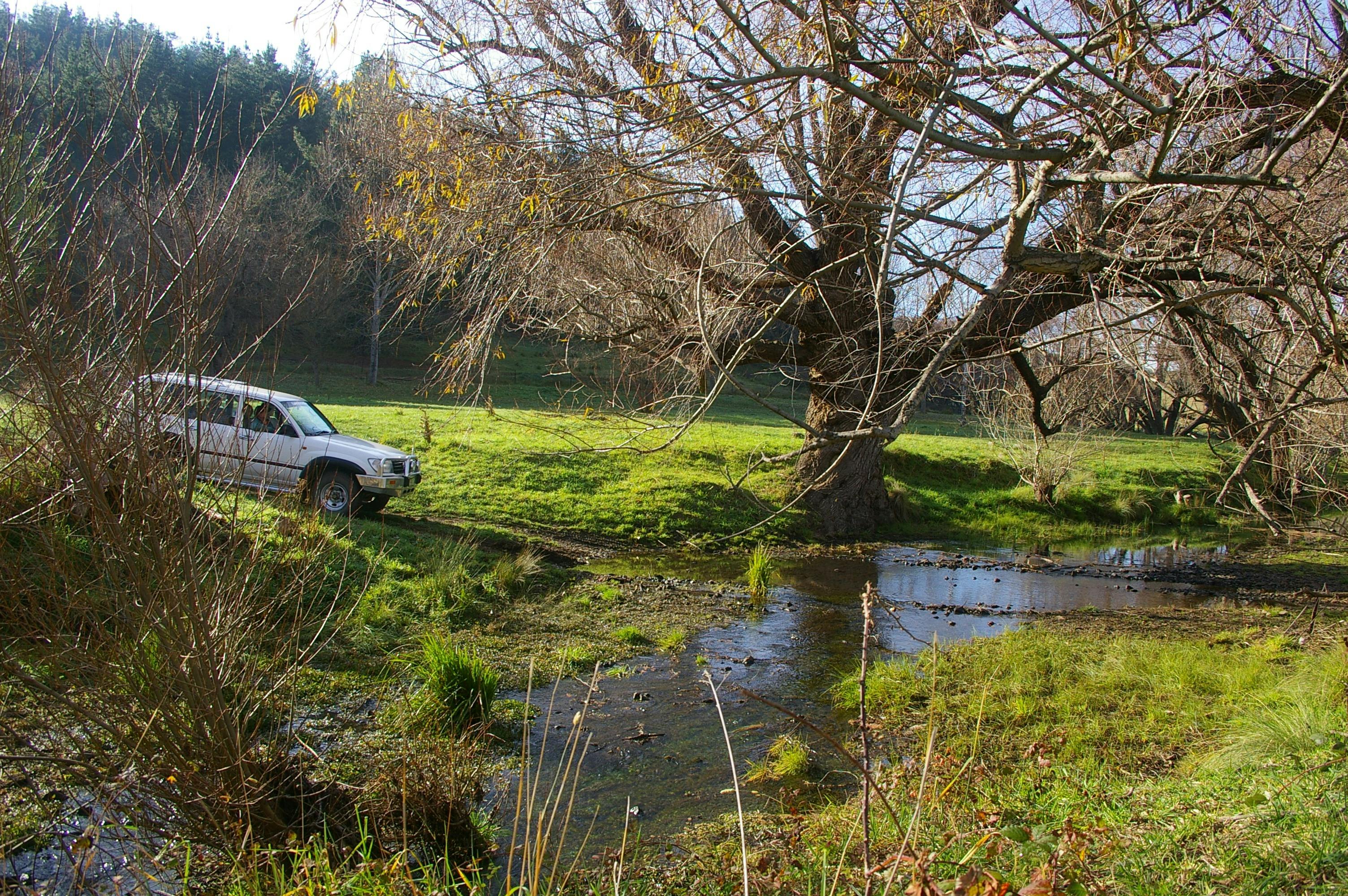 Sealed Road Scenic Drives or Adventurous Off-Road 4WD Trails