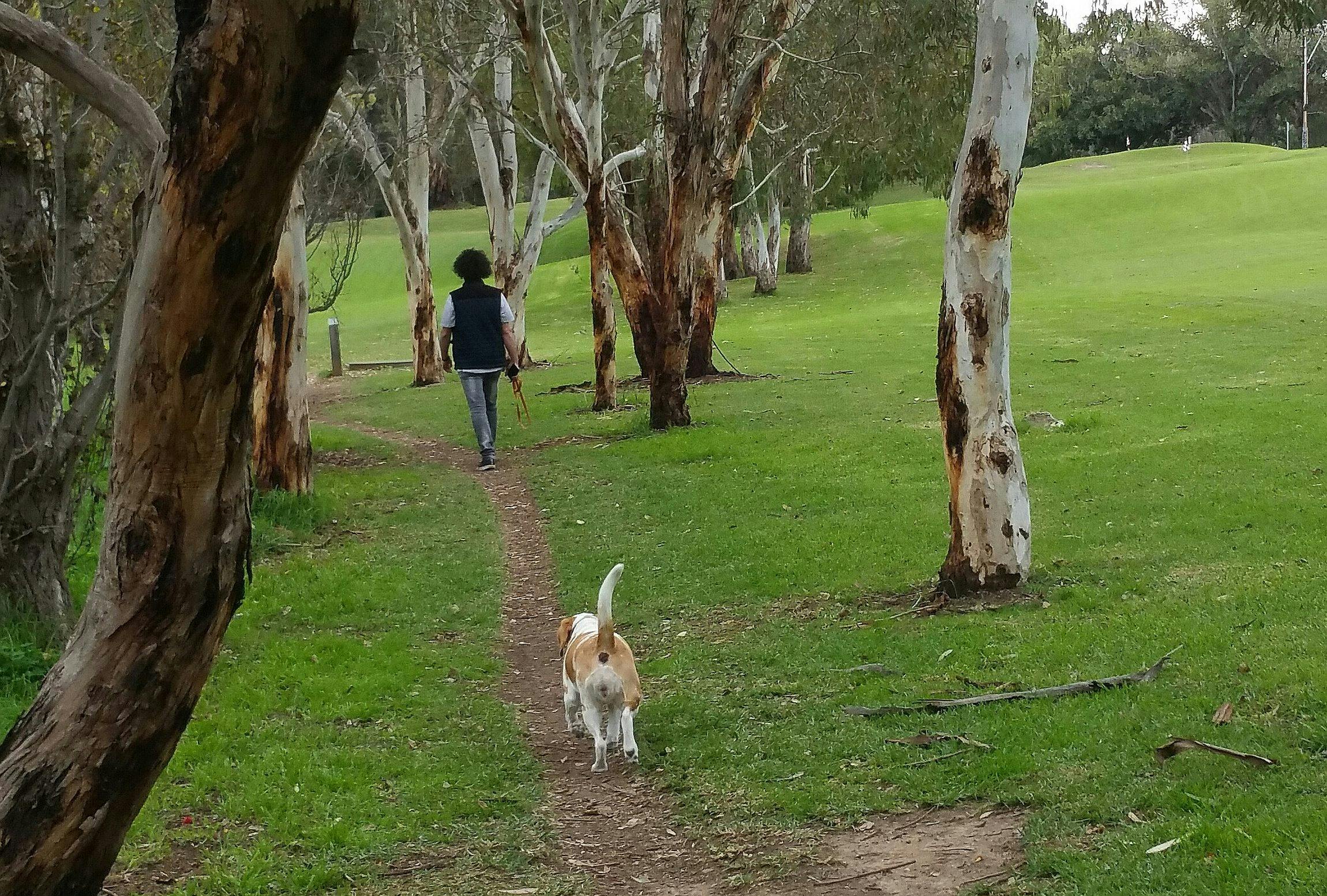 Possum Park /Pirltawardli (Park 1)