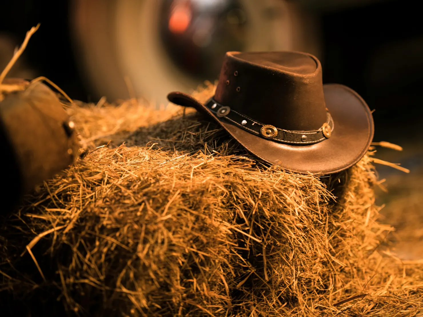 Moffat Beach Street Party: Rodeo Cowboy