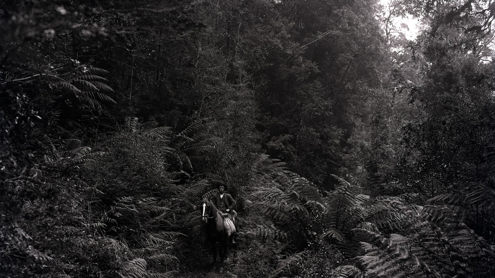 Jackie H Robinson (1883 - 1953), Man on Horse, West Coast (Tasmania),1912-1935. Digital inkjet print