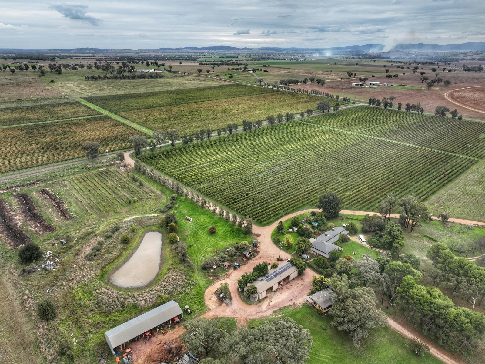 Windowrie Wines