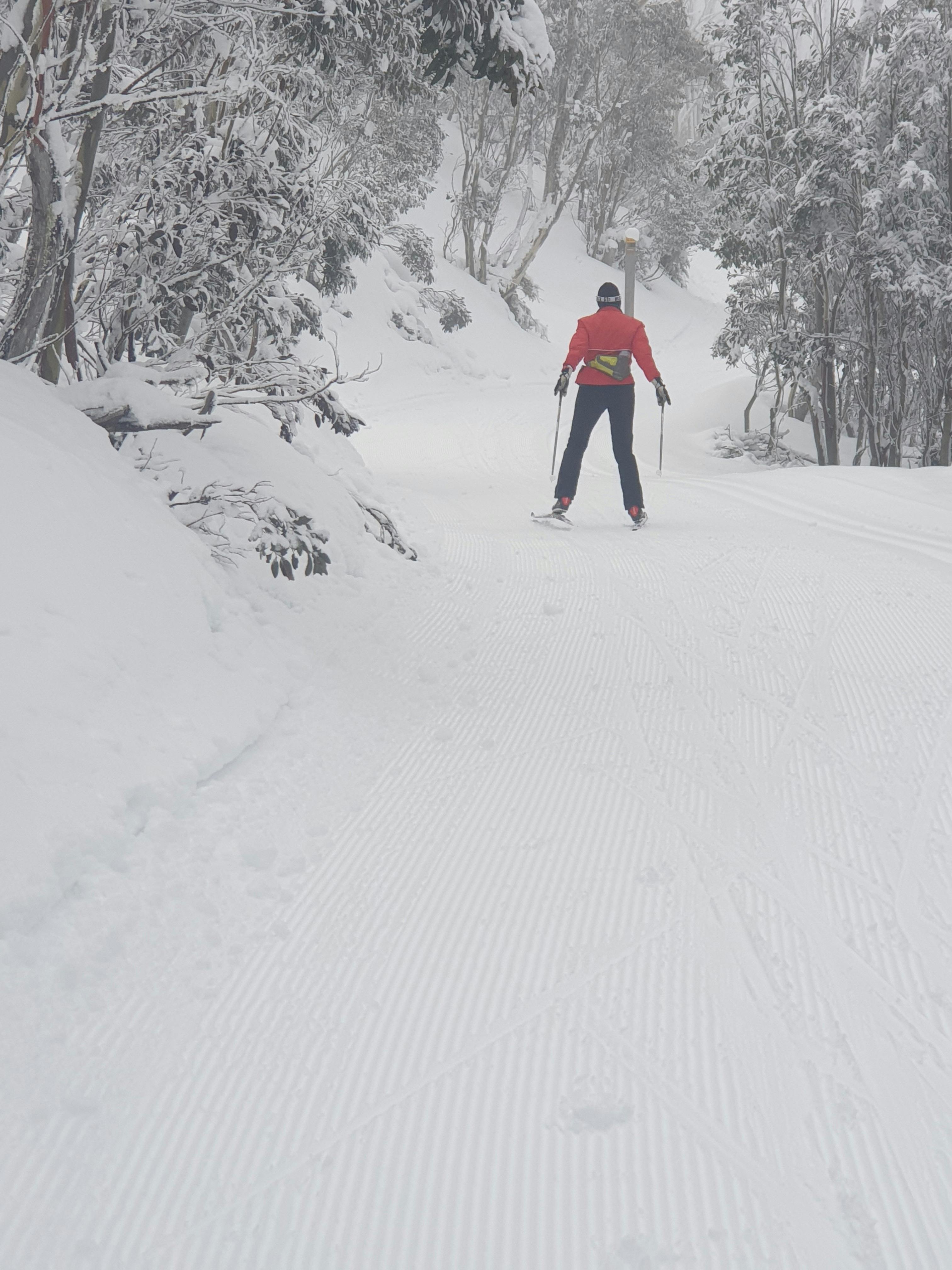 Person wearing a red jacking skiing in between snow covered trees