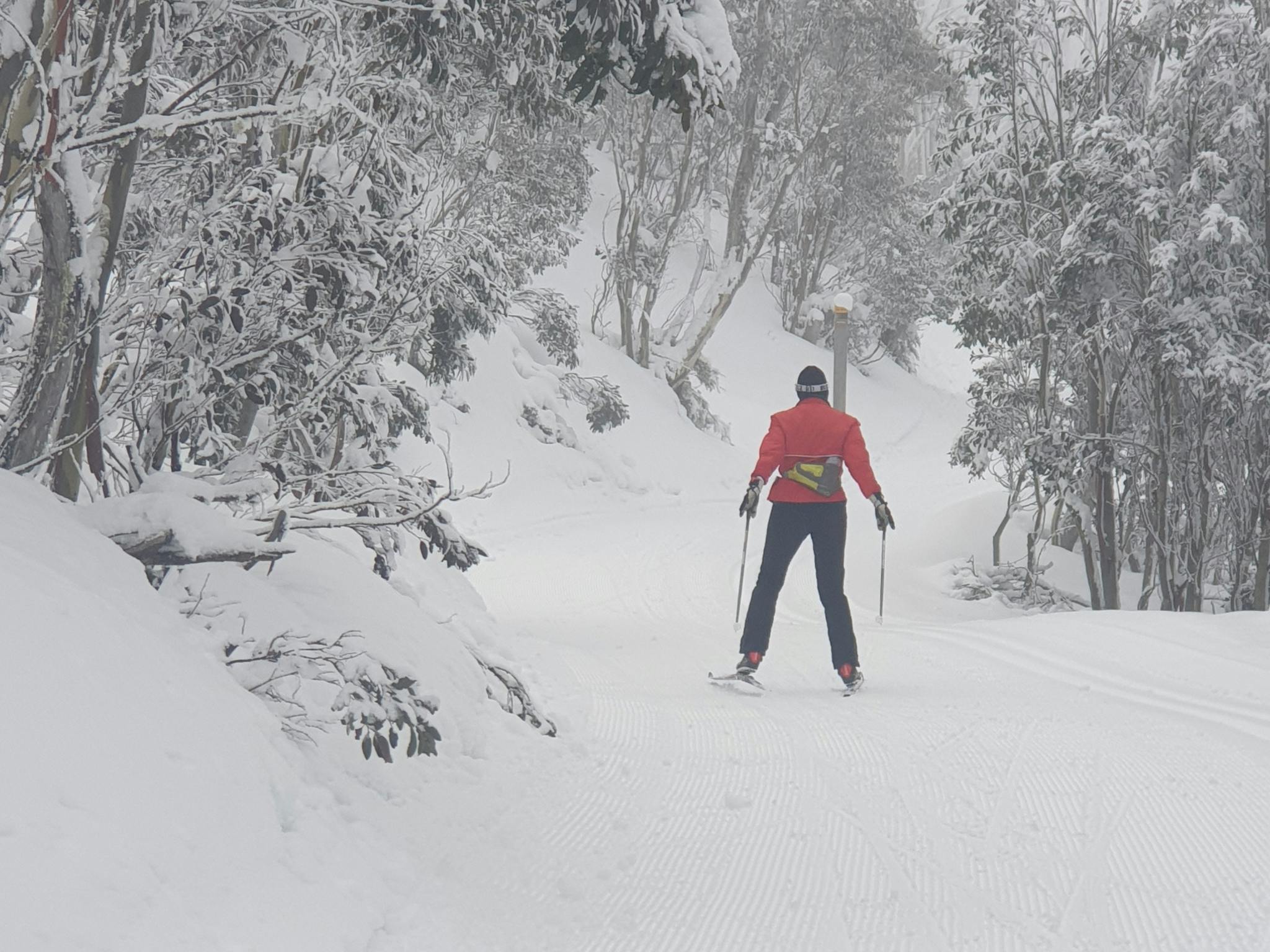 Person wearing a red jacking skiing in between snow covered trees
