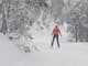 Person wearing a red jacking skiing in between snow covered trees
