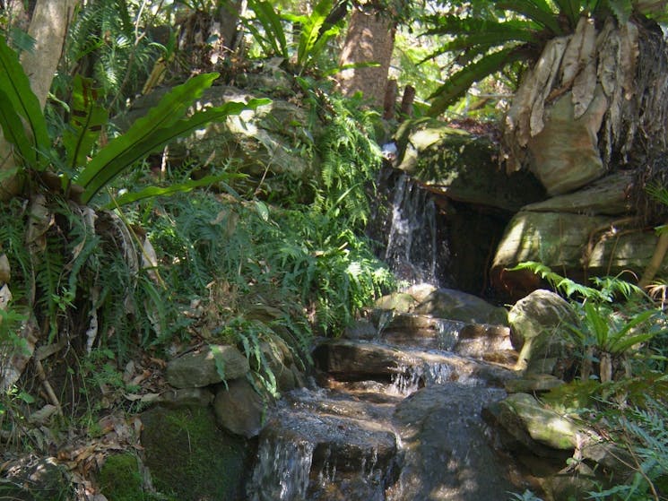 Waterfall at Stony Range Botanical gardens