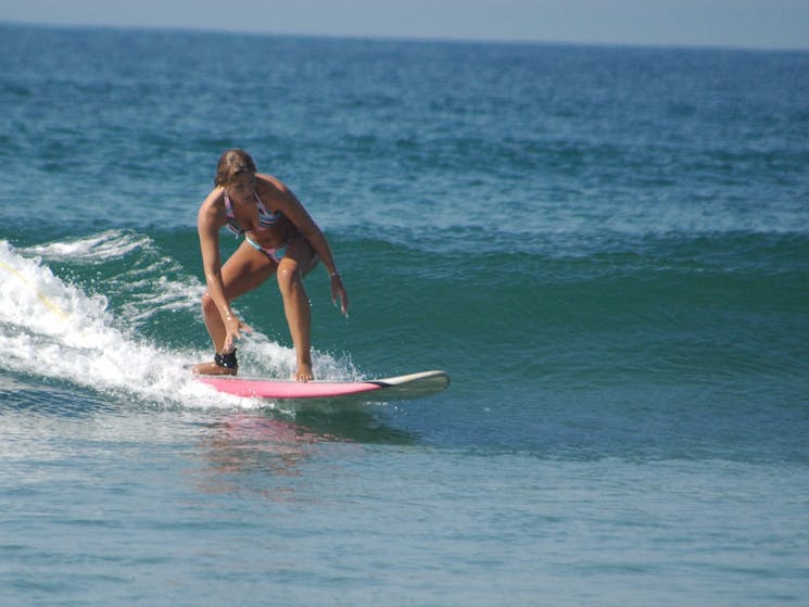 surf camp australia pty ltd