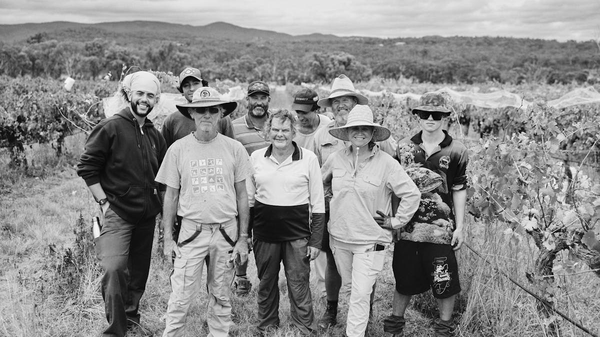 Grape Picking Crew Grape Picking Crew