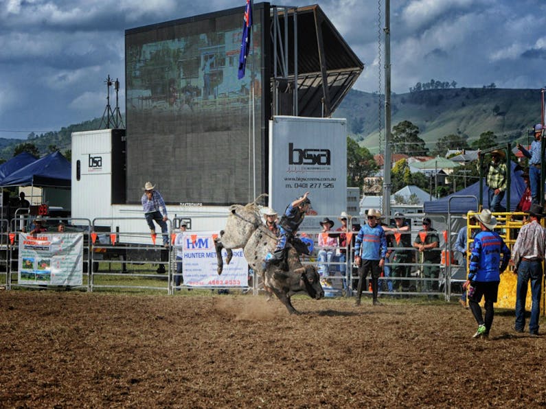 Image of the event 'Dungog Rodeo'