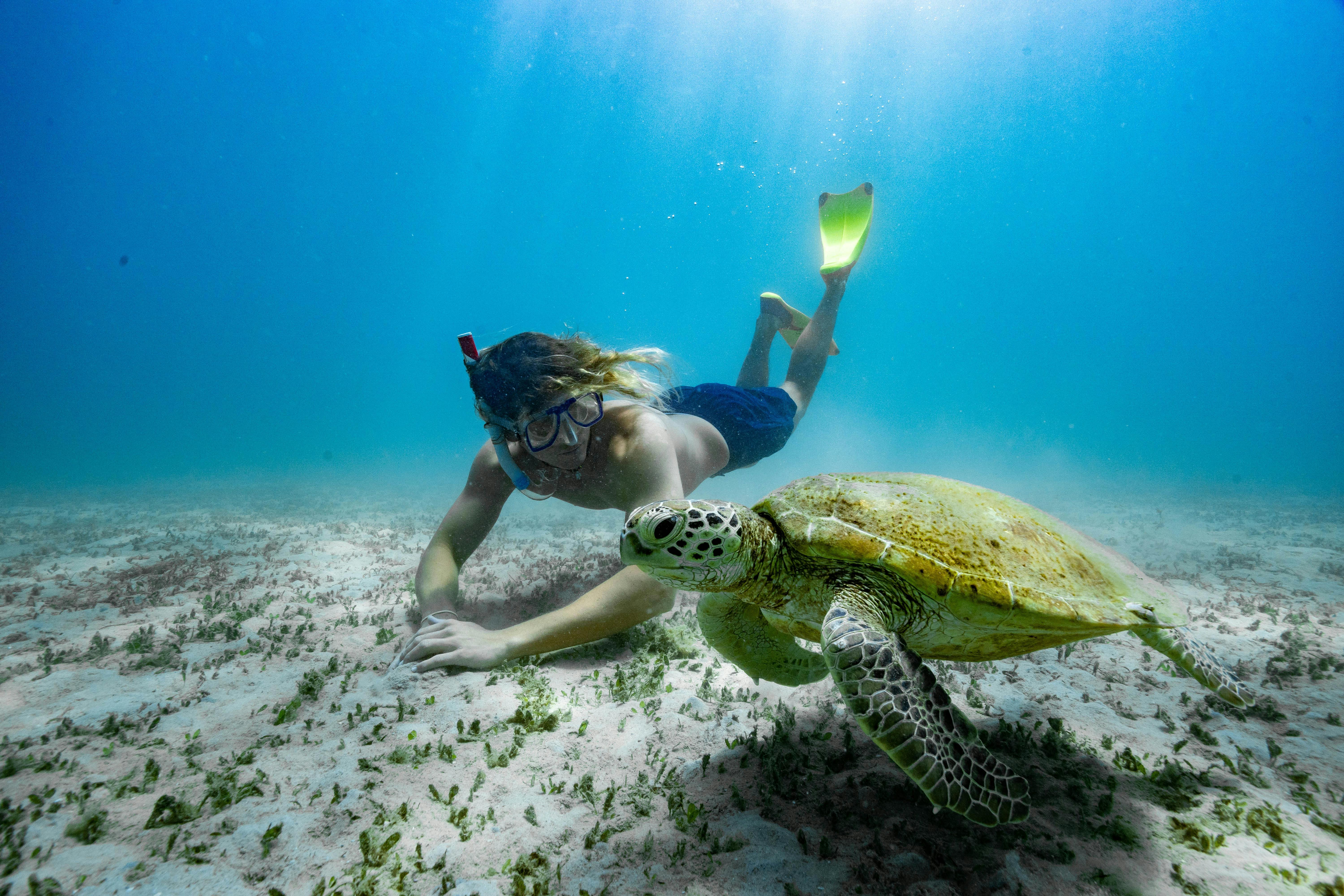 Encounter the locals at Great Keppel Island with Freedom Fast Cats' Monday special Combo Cruise
