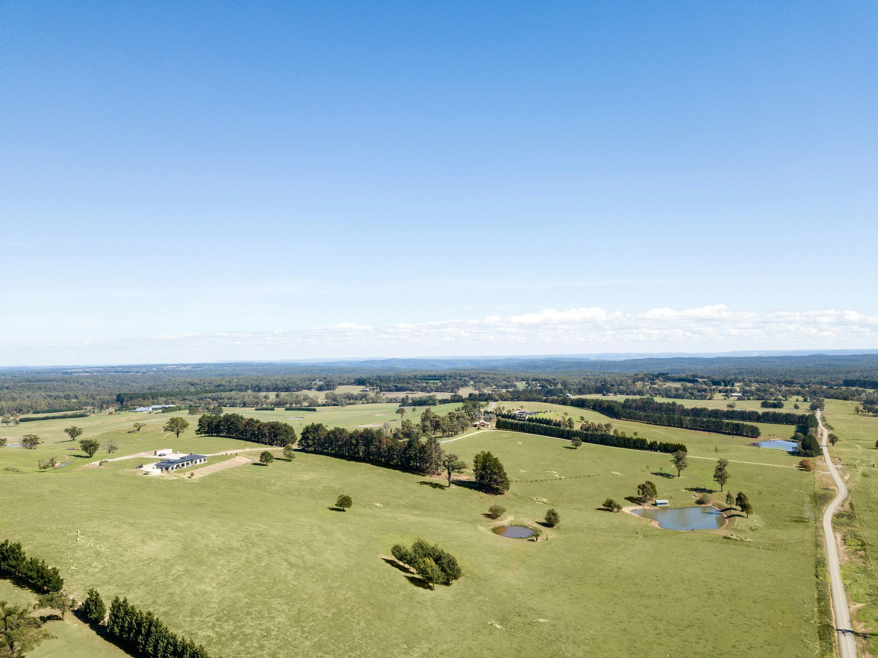 サマートンコレクション | 結婚式とパーティー